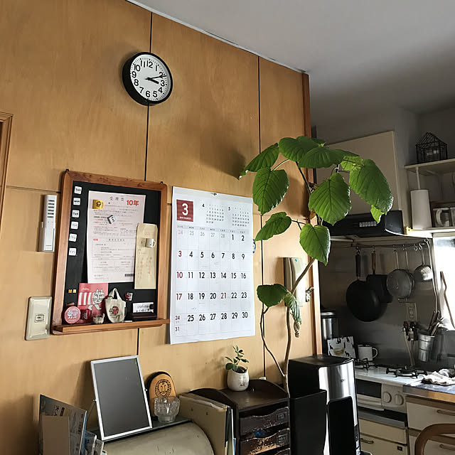 misamisa1113さんの実例写真