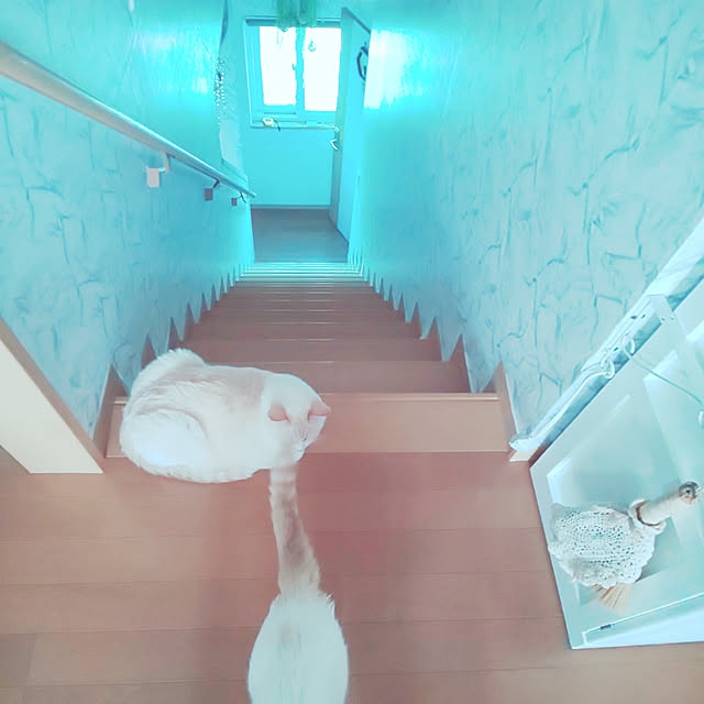 posauruさんの実例写真