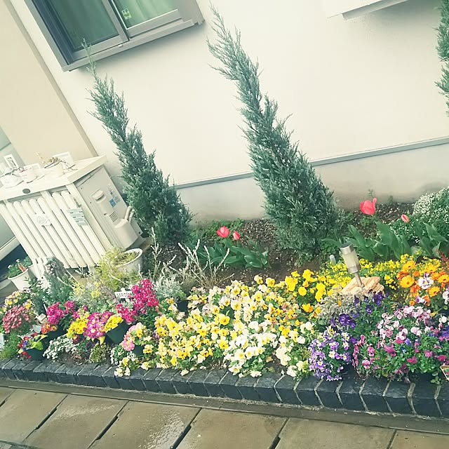 yuki15さんの実例写真
