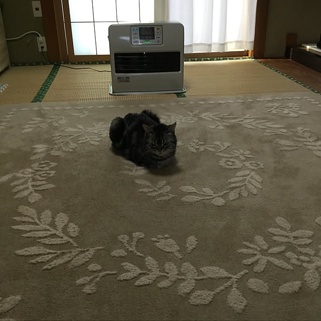 richanさんの実例写真