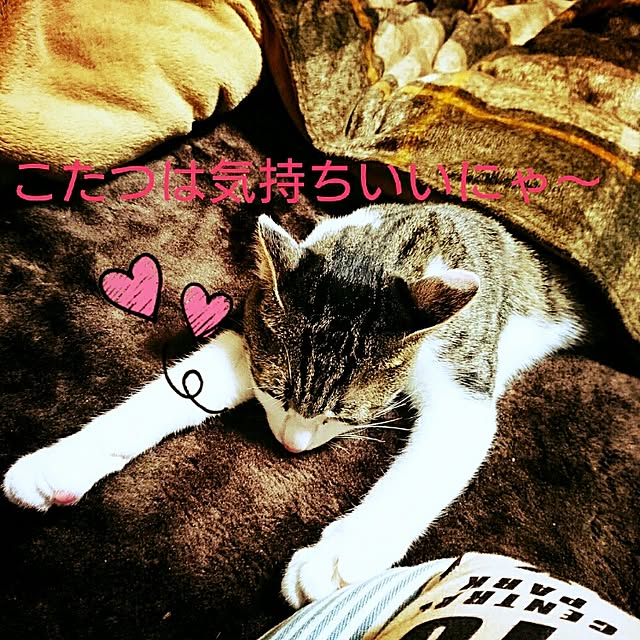 kiraさんの実例写真