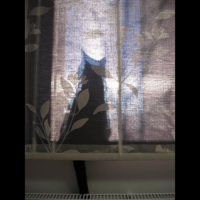 hirokinouさんの実例写真