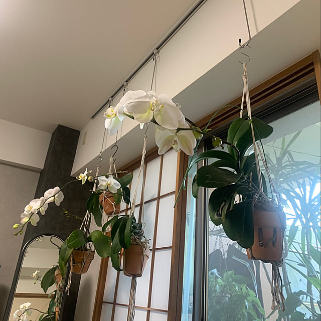Aqettyさんの部屋