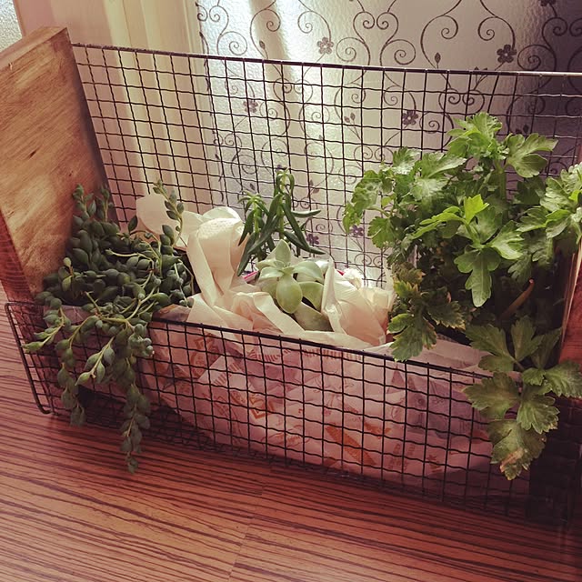 棚/DIY/ダイソー/観葉植物/多肉植物のインテリア実例 - 2015-09-10 00:15:02