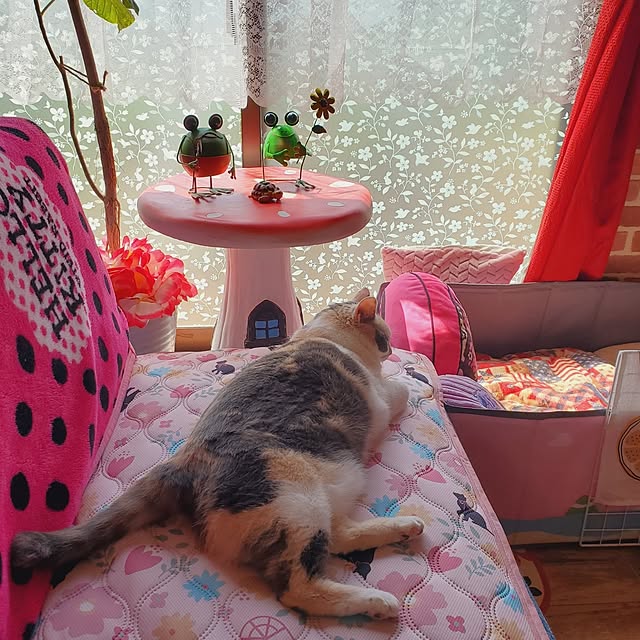 kumutanさんの部屋