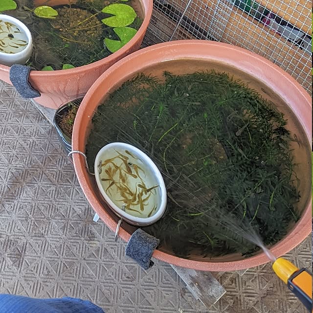 mi-saさんの部屋
