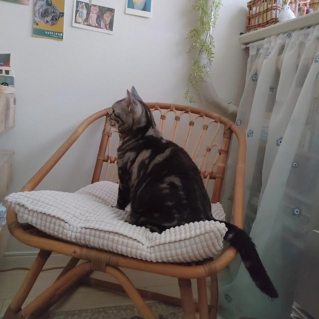 Yoko622さんの実例写真