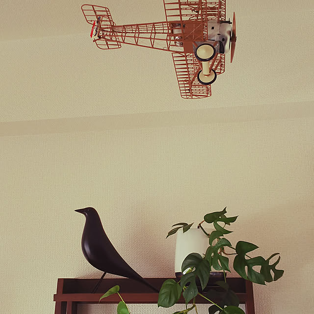 Maruさんの実例写真