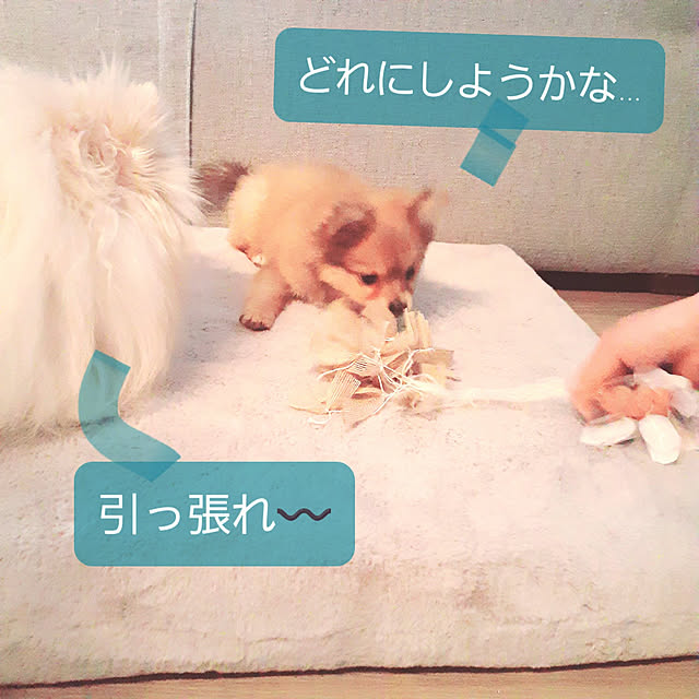 noahさんの実例写真