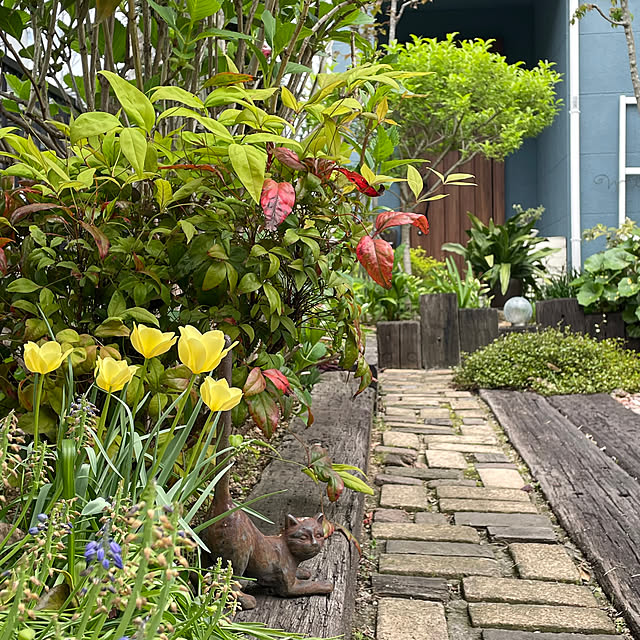 nobikoさんの部屋