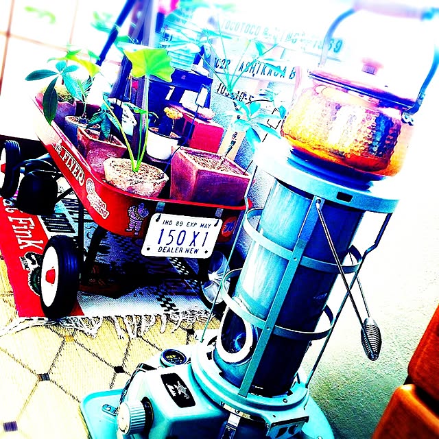 cj69さんの実例写真