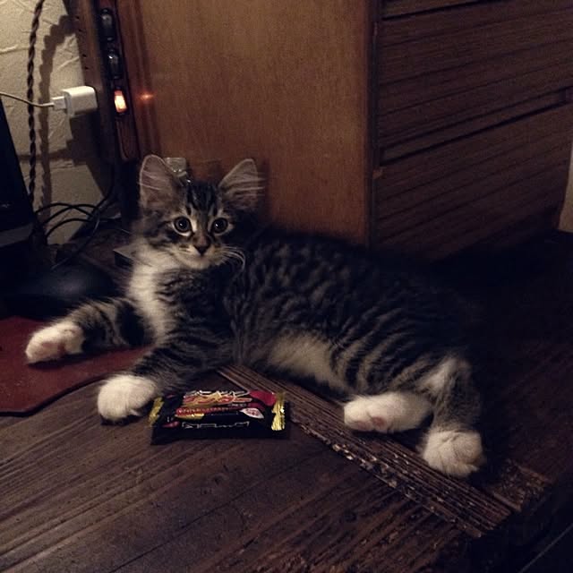jnkaiさんの実例写真