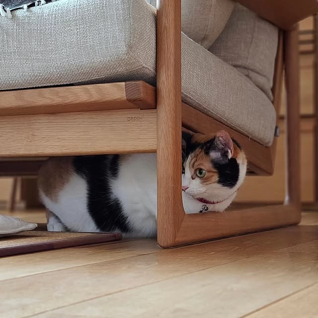 koyurizuさんの実例写真