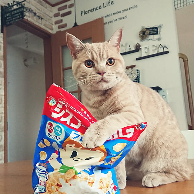noritamaさんの実例写真