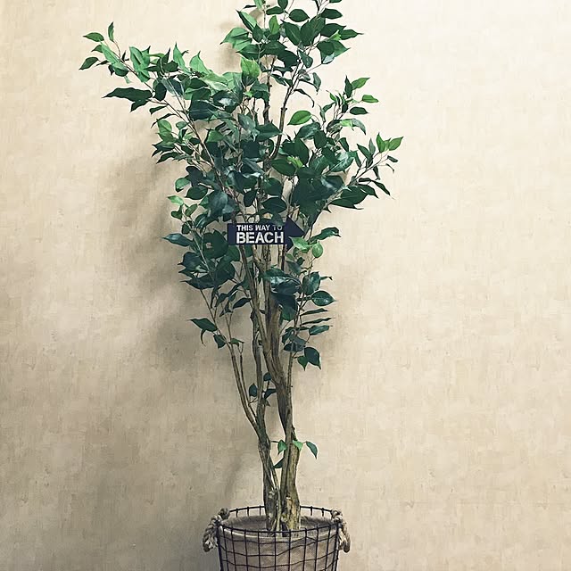 AZUさんの実例写真
