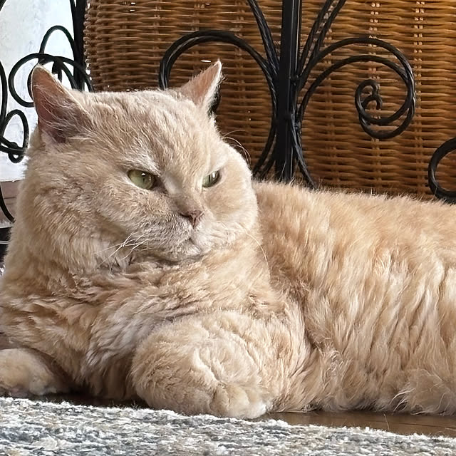 naokoさんの部屋