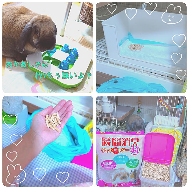 mariaさんの実例写真
