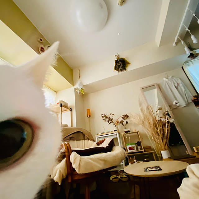 YUKAさんの実例写真