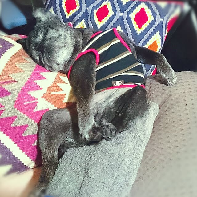 teftef9689さんの実例写真