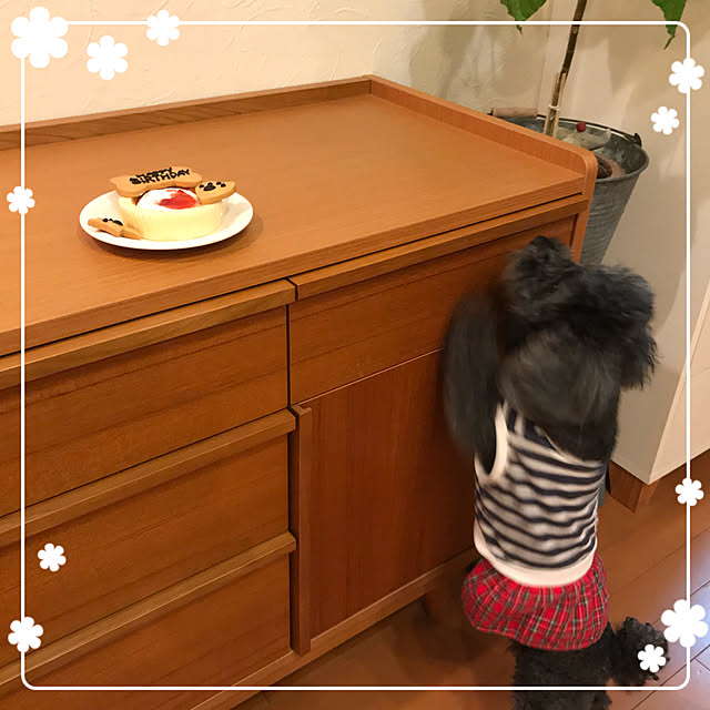 makkoさんの実例写真