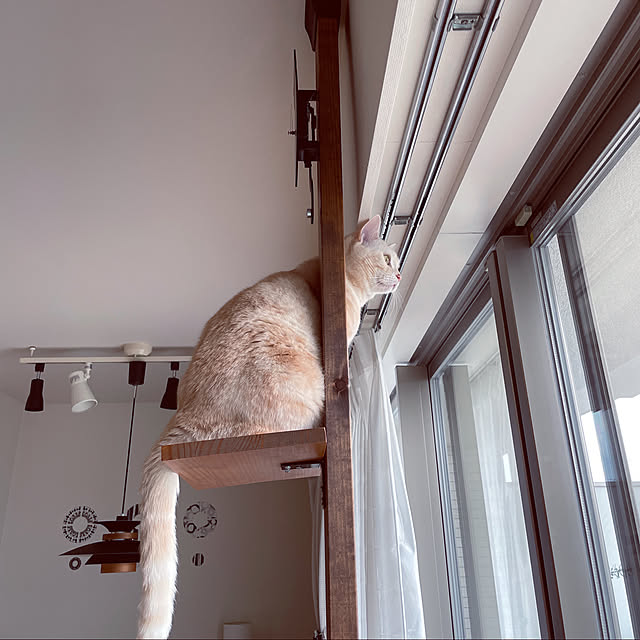hiyupan88さんの実例写真