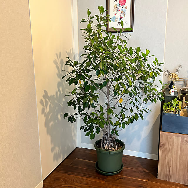 violetさんの部屋