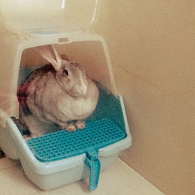 MARIさんの実例写真