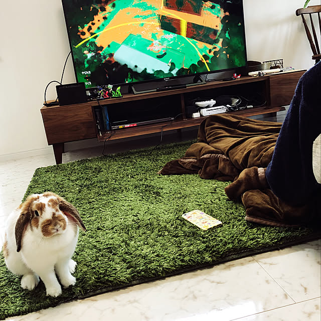 ratekoさんの実例写真