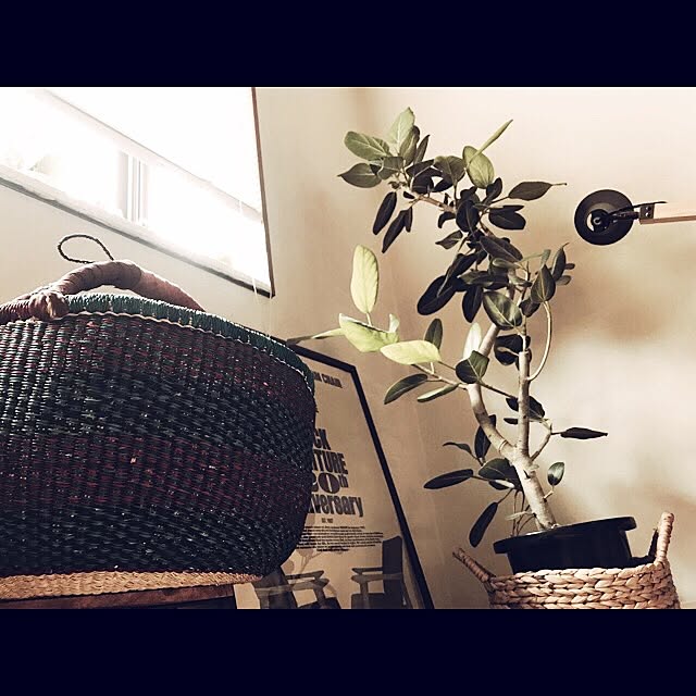 miiksさんの実例写真