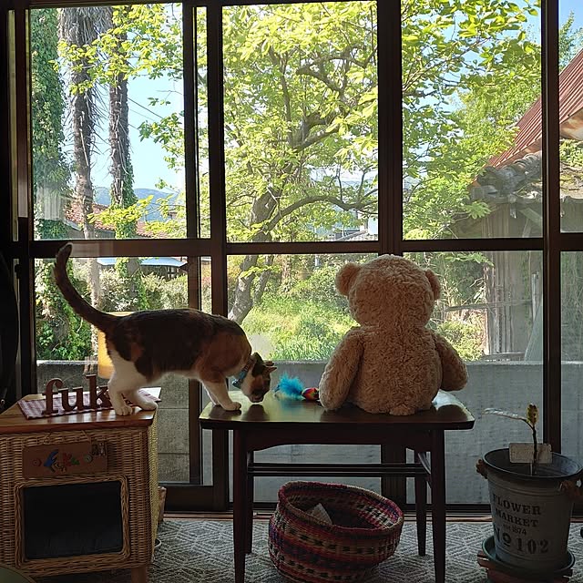 fukuさんの部屋