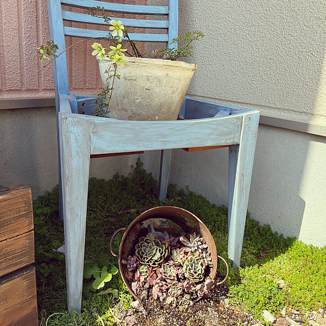 pekoさんの部屋