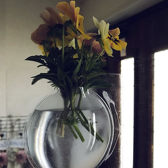 eshinobumさんの実例写真