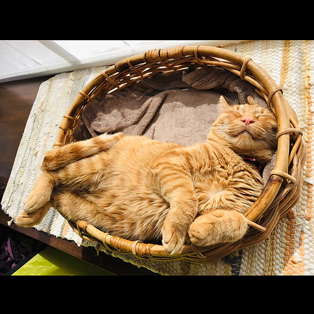 Maruさんの実例写真