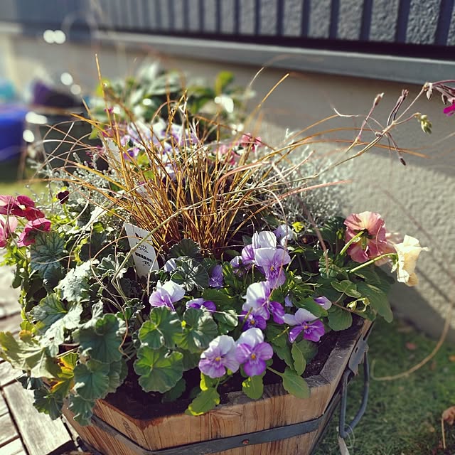 Motoziさんの実例写真