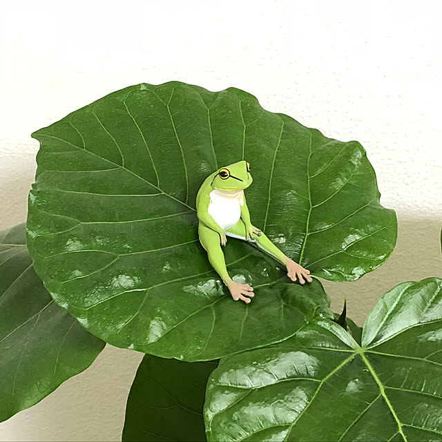 miechuraさんの実例写真