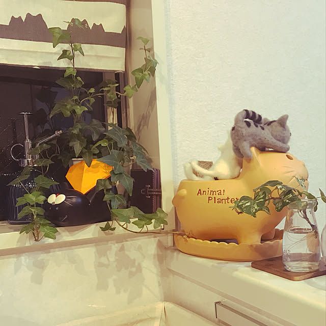 keito814さんの実例写真
