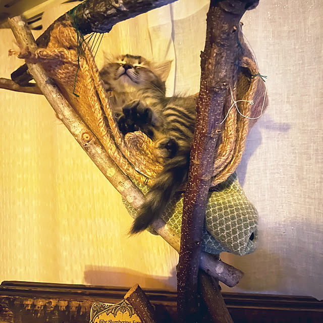 Mさんの部屋