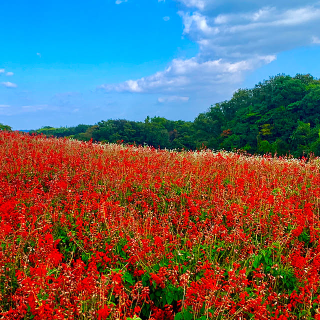 tututu0204さんの部屋