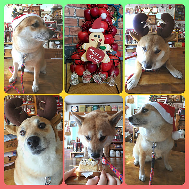 nanaさんの実例写真