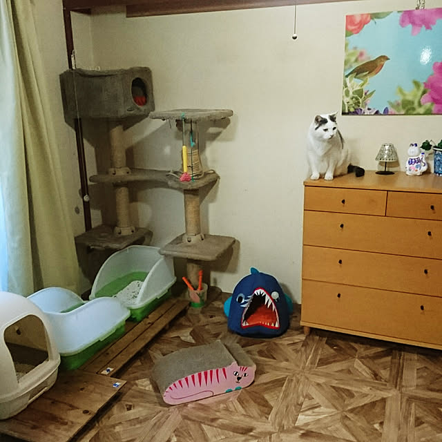 Kaoruさんの実例写真