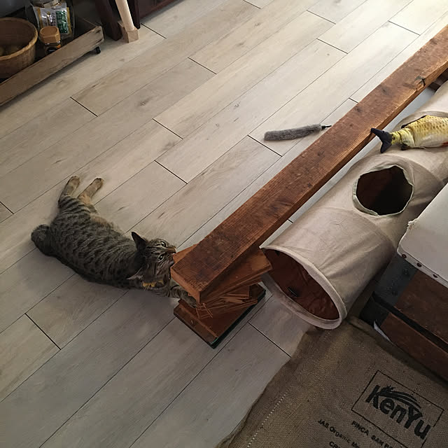 Mさんの実例写真