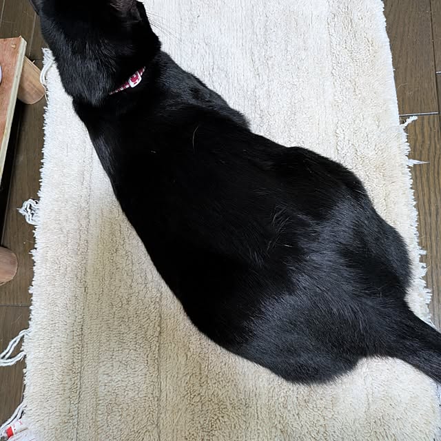 asaさんの実例写真
