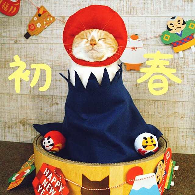 kobakissaさんの実例写真