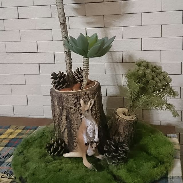 実例写真