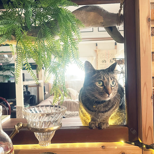 Mさんの部屋