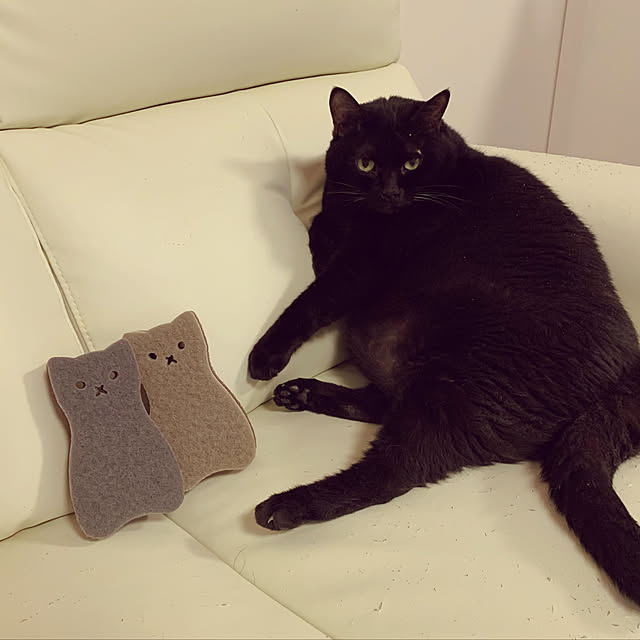 shi0chaaaan.さんの実例写真