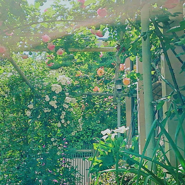 botanさんの実例写真