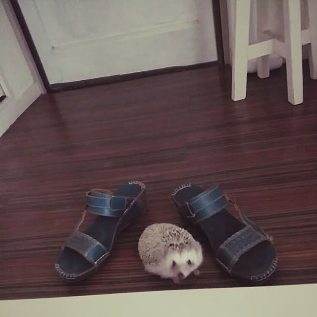 kuruさんの実例写真