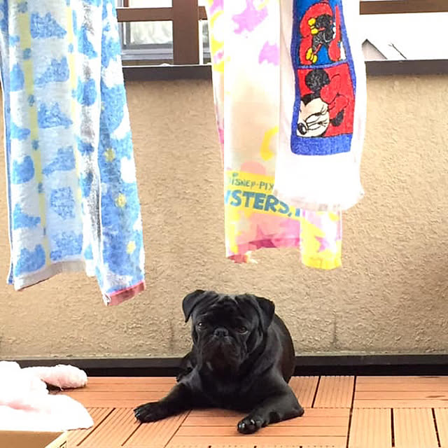 kapiさんの実例写真
