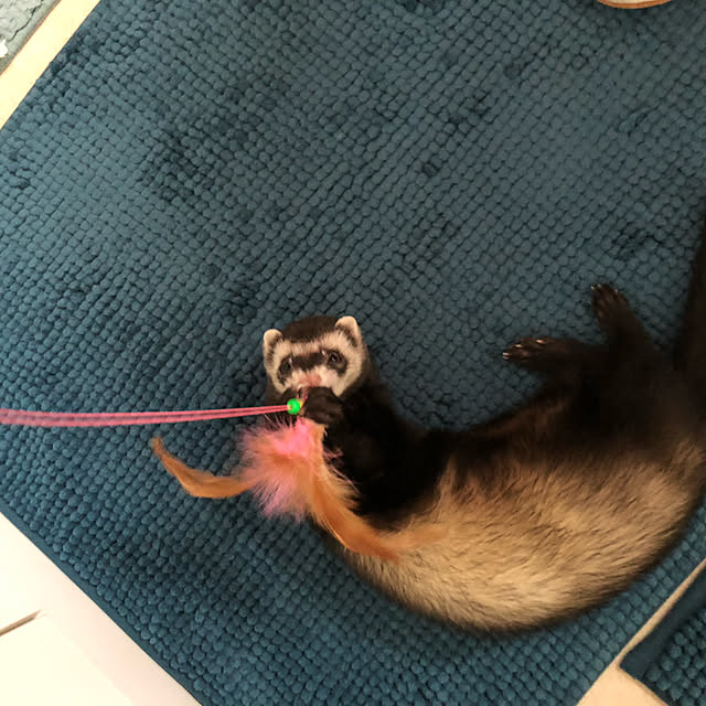 maruさんの実例写真